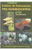Common Edible & Poisonous Mushrooms of the Northeast