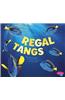Regal Tangs