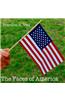 The Faces of America (8.5 X 8.5)