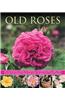 Old Roses