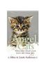 Angel Cats