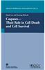 Caspases: Their Role in Cell Death and Cell Survival