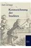 Kennzeichnung Der Insekten