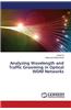 Analyzing Wavelength and Traffic Grooming in Optical Wdm Networks