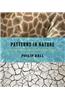 Patterns in Nature: Why the Natural World Looks the Way It Does