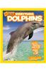 Everything dolphins