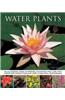 Water Plants