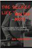 The Secret Life of Walter Mott