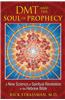 DMT and the Soul of Prophecy