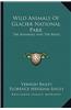 Wild Animals of Glacier National Park: The Mammals and the Birds