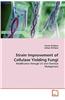 Strain Improvement of Cellulase Yielding Fungi