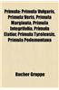 Primula: Primula Vulgaris, Primula Veris, Primula Marginata, Primula Integrifolia, Primula Elatior, Primula Tyrolensis, Primula