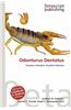 Odonturus Dentatus