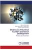 Studies on Industrial Clusters and Local Development