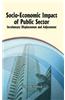 Socio-Economic Impact of Public Sector