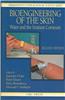 Bioengineering of the Skin: Water and the Stratum Corneum, 2nd Edition