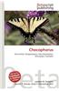 Chocophorus