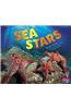 Sea Stars