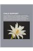 Child Support: Child Support in the United States, Child Support Agency, Paternity Fraud, Deadbeat Parent, Interest on Past Due Child