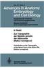 Zur Topographie der Medulla Spinalis der Albinoratte (Rattus Norvegicus) / Contributions to the Topography of the Spinal Cord of the Albino Rat (Rattus Norvegicus)