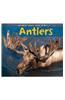 Antlers