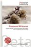 Proconsul Africanus