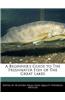 A Beginner's Guide to the Freshwater Fish of the Great Lakes