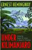 Under Kilimanjaro