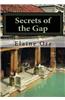 Secrets of the Gap: Large Print