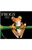 Frogs 2012 Calendar