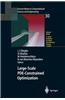 Large-scale PDE-constrained Optimization