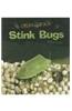 Stink Bugs