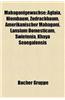 Mahagonigewachse: Aglaia, Niembaum, Zedrachbaum, Amerikanischer Mahagoni, Lansium Domesticum, Swietenia, Khaya Senegalensis