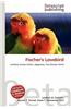 Fischer's Lovebird