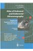 Atlas of Endoanal and Endorectal Ultrasonography: Staging and Treatment Options for Anorectal Cancer