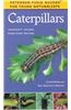 Caterpillars