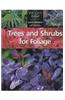 Trees and Shrubs for Foliage