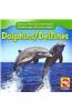 Dolphins/Delfines