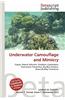 Underwater Camouflage and Mimicry