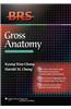 Gross Anatomy