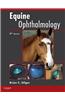 Equine Ophthalmology