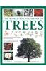 The World Encyclopedia of Trees