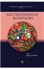 Electrochemical Biosensors