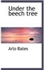 Under the Beech Tree