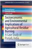 Socioeconomic and Environmental Implications of Agricultural Residue Burning