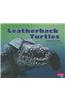 Leatherback Turtles