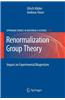 Renormalization Group Theory