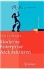 Moderne Enterprise Architekturen