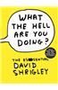 What the Hell Are You Doing?: The Essential David Shrigley