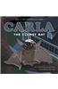 Carla the Clumsy Bat